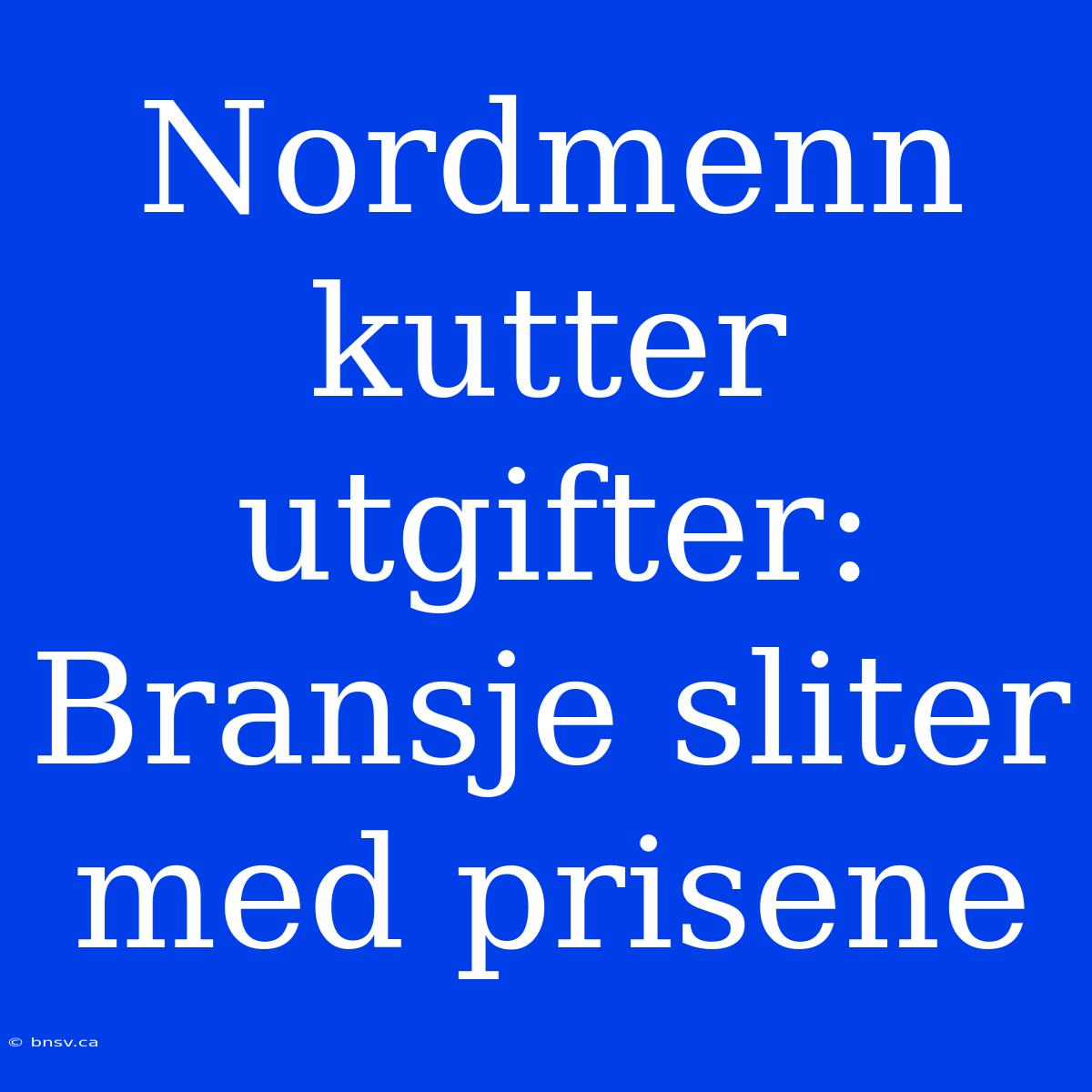 Nordmenn Kutter Utgifter: Bransje Sliter Med Prisene