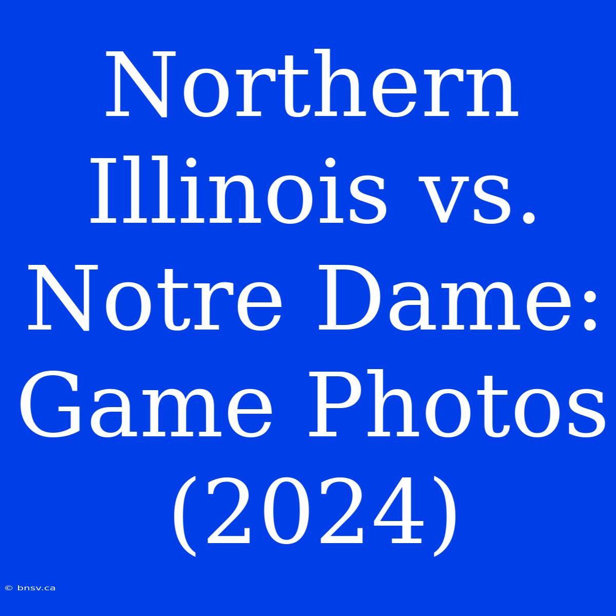 Northern Illinois Vs. Notre Dame: Game Photos (2024)