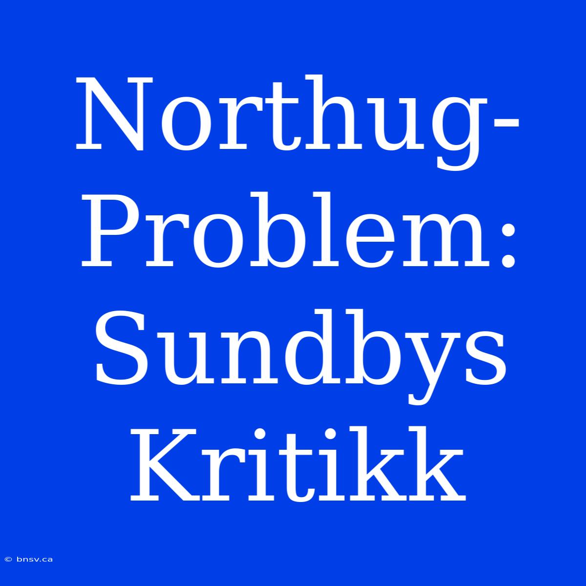 Northug-Problem: Sundbys Kritikk