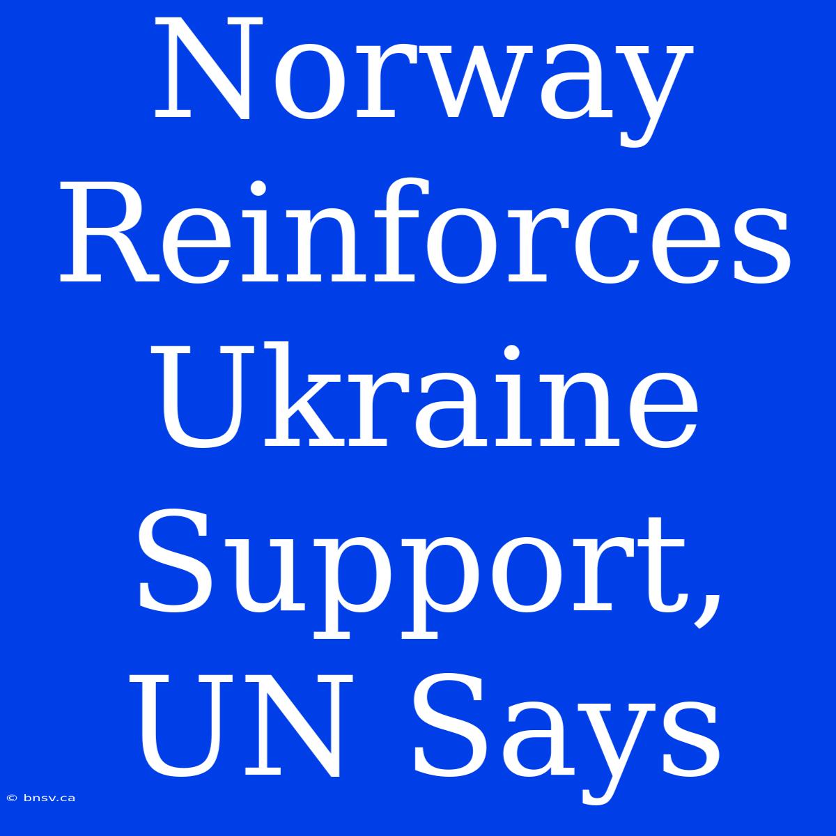 Norway Reinforces Ukraine Support, UN Says