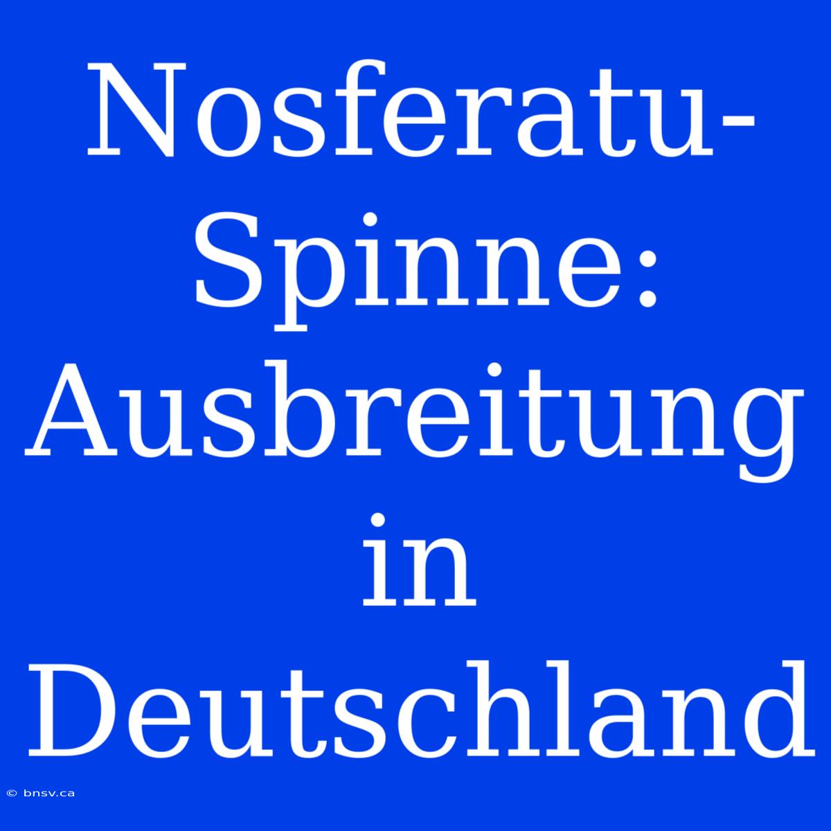 Nosferatu-Spinne: Ausbreitung In Deutschland