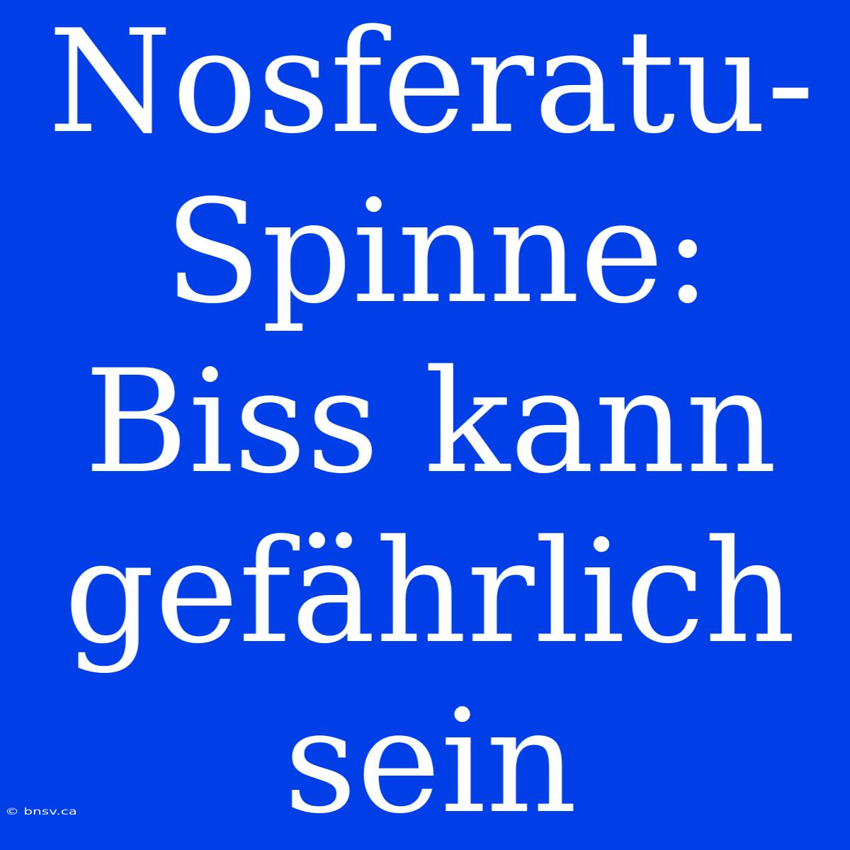 Nosferatu-Spinne: Biss Kann Gefährlich Sein