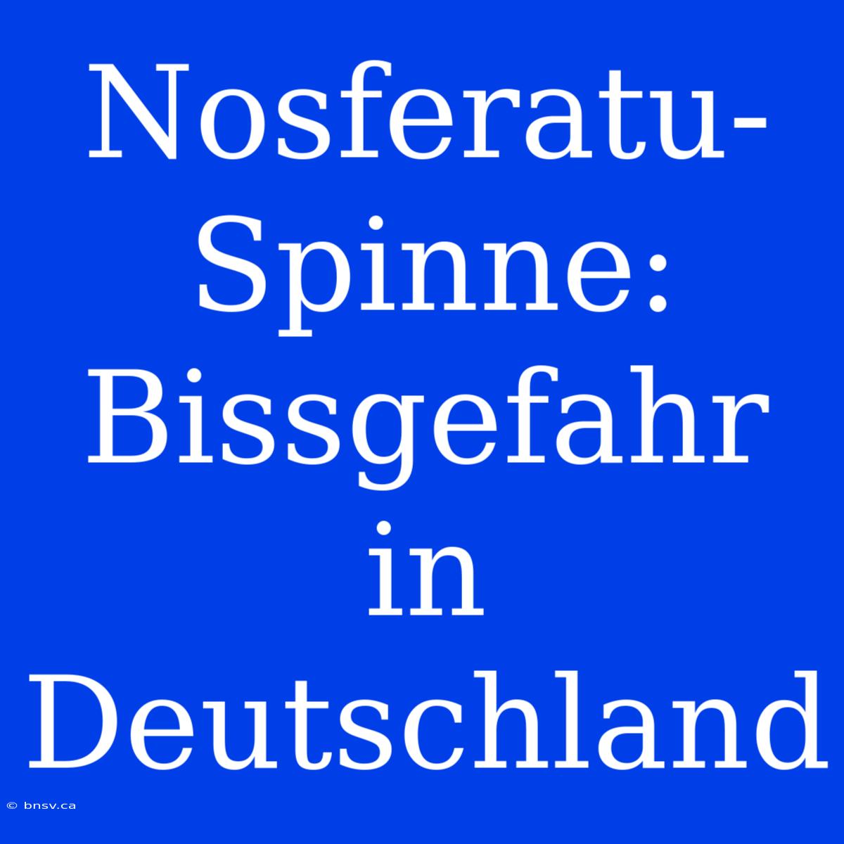 Nosferatu-Spinne: Bissgefahr In Deutschland