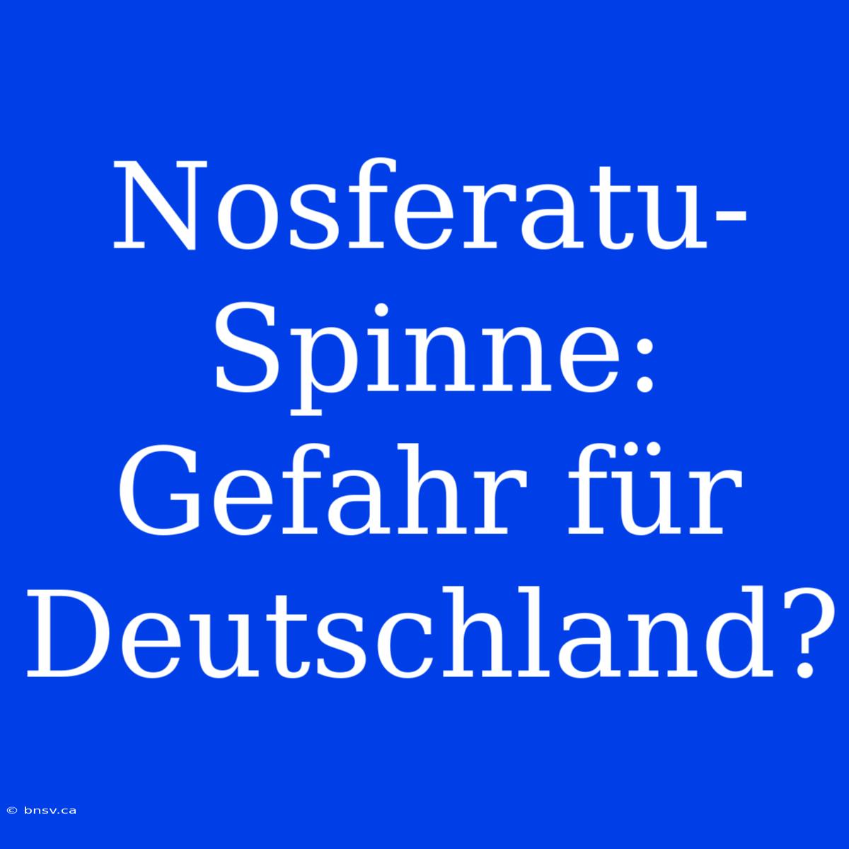 Nosferatu-Spinne: Gefahr Für Deutschland?