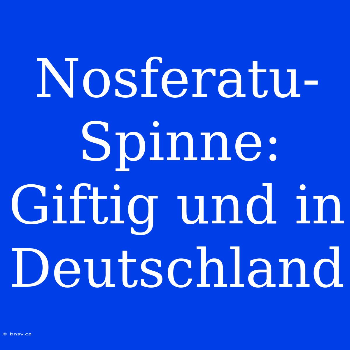 Nosferatu-Spinne: Giftig Und In Deutschland