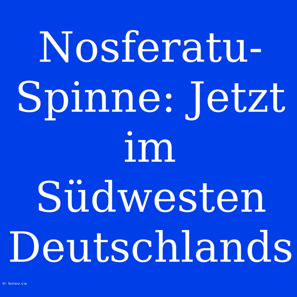 Nosferatu-Spinne: Jetzt Im Südwesten Deutschlands