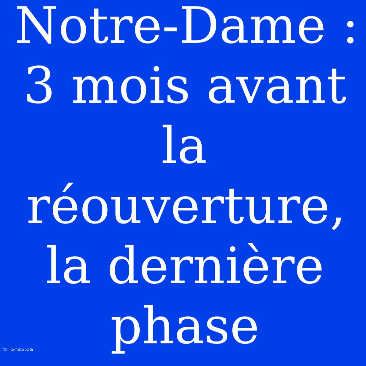 Notre-Dame : 3 Mois Avant La Réouverture, La Dernière Phase