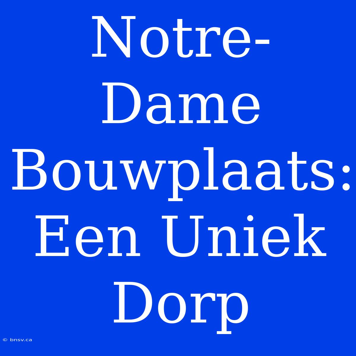 Notre-Dame Bouwplaats: Een Uniek Dorp