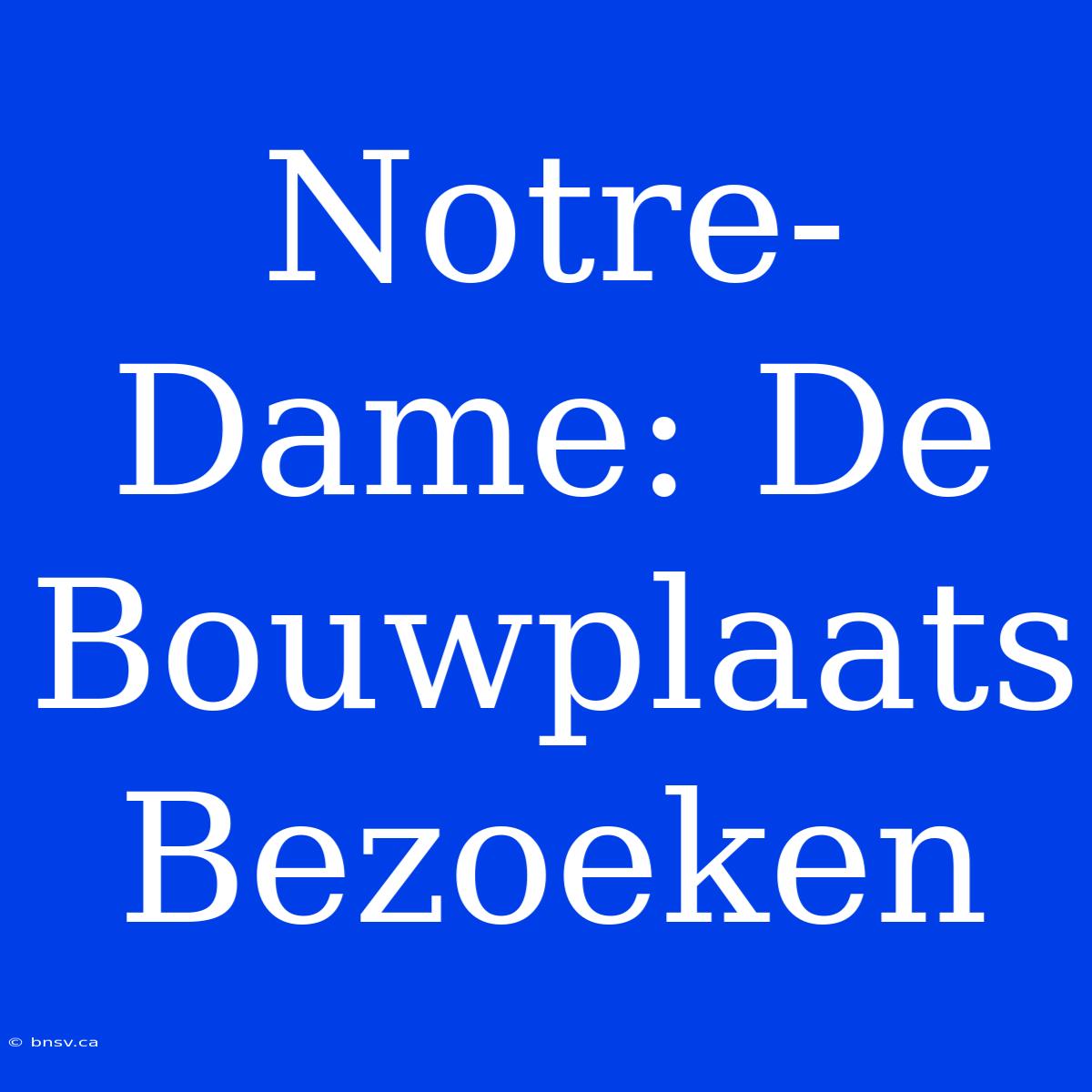 Notre-Dame: De Bouwplaats Bezoeken