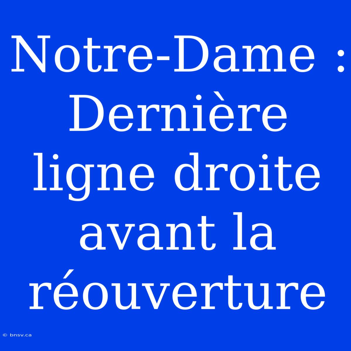 Notre-Dame : Dernière Ligne Droite Avant La Réouverture