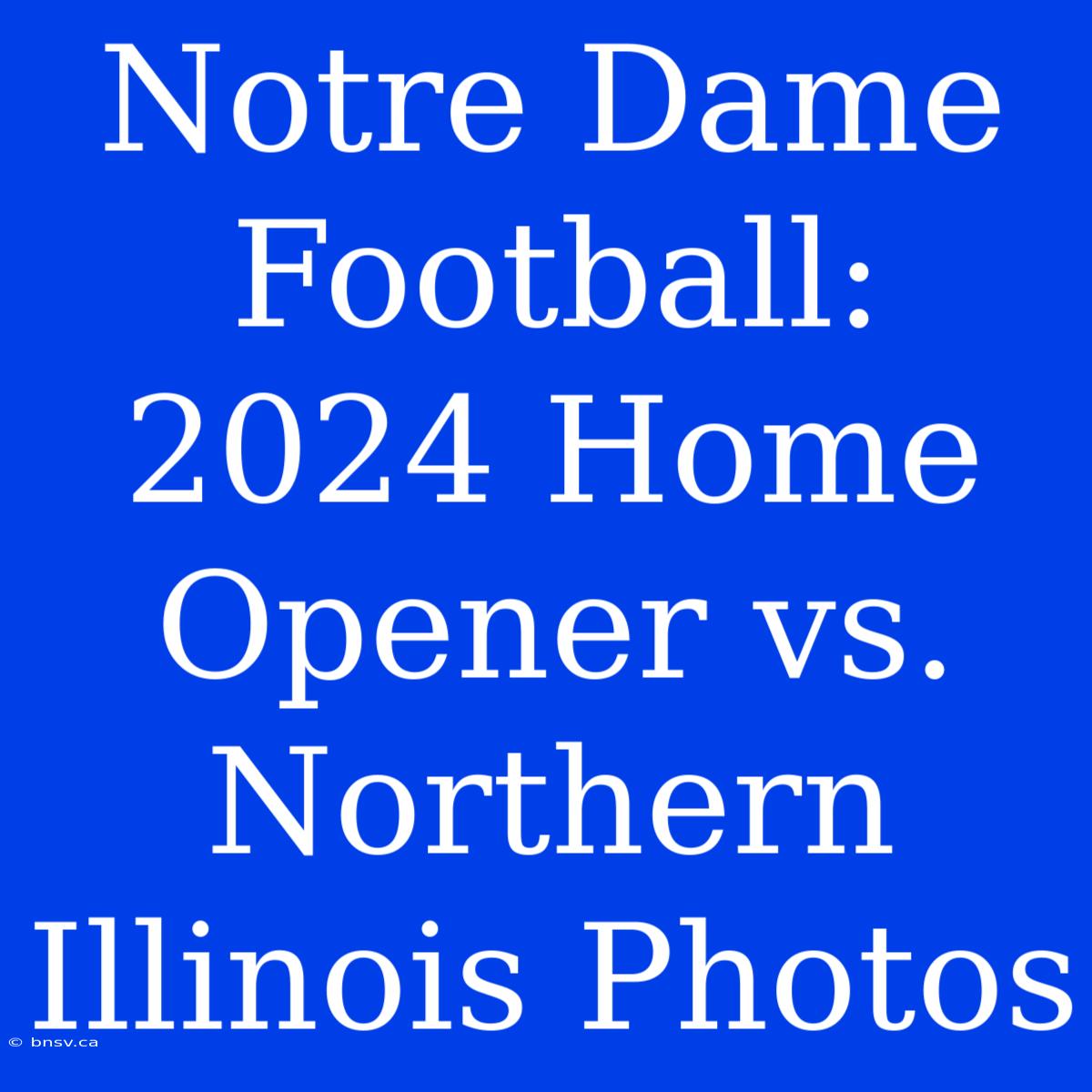 Notre Dame Football: 2024 Home Opener Vs. Northern Illinois Photos