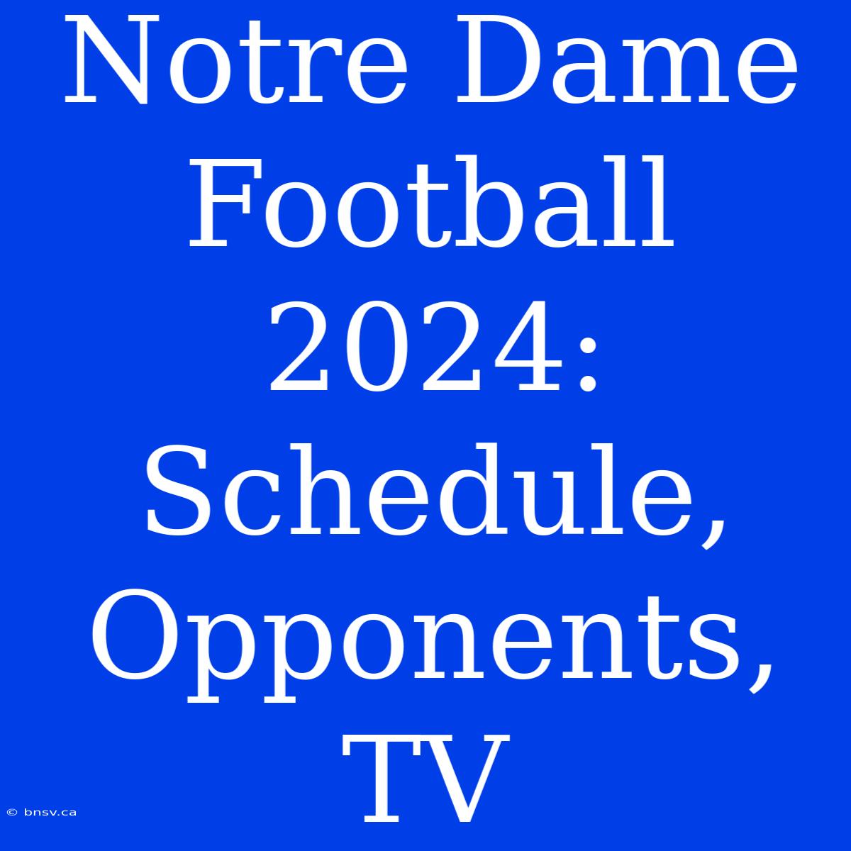 Notre Dame Football 2024: Schedule, Opponents, TV