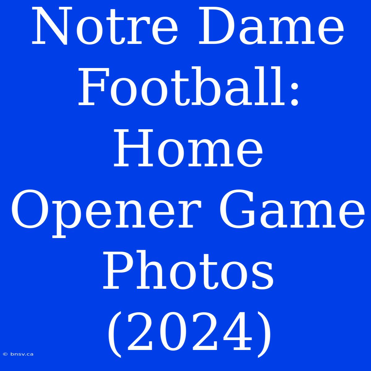 Notre Dame Football: Home Opener Game Photos (2024)