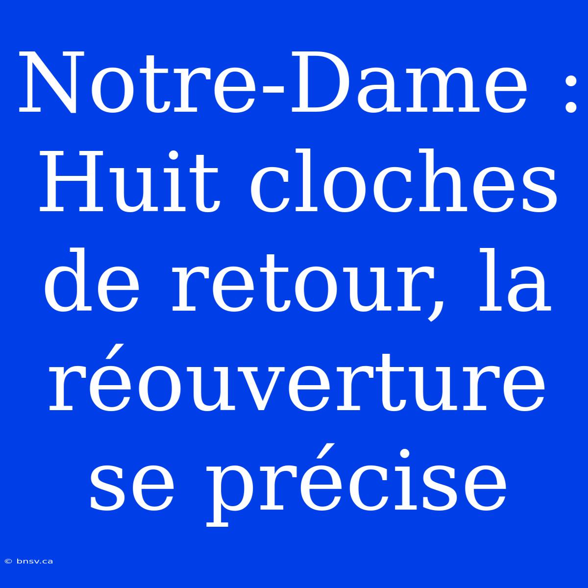 Notre-Dame : Huit Cloches De Retour, La Réouverture Se Précise