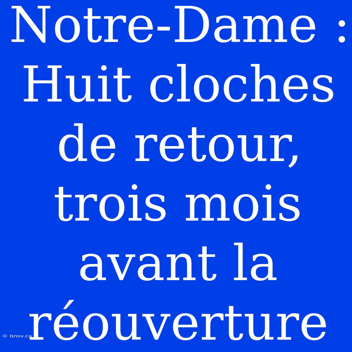 Notre-Dame : Huit Cloches De Retour, Trois Mois Avant La Réouverture