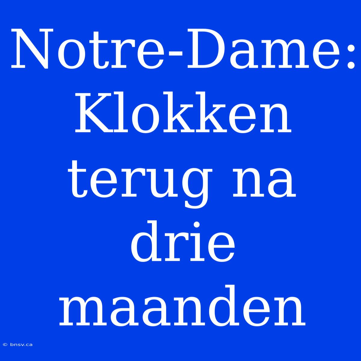 Notre-Dame:  Klokken Terug Na Drie Maanden