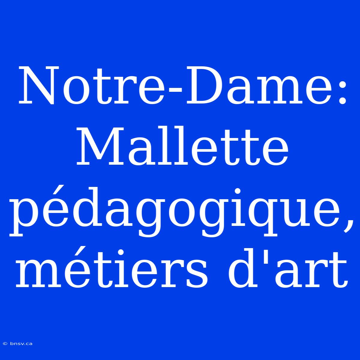 Notre-Dame: Mallette Pédagogique, Métiers D'art