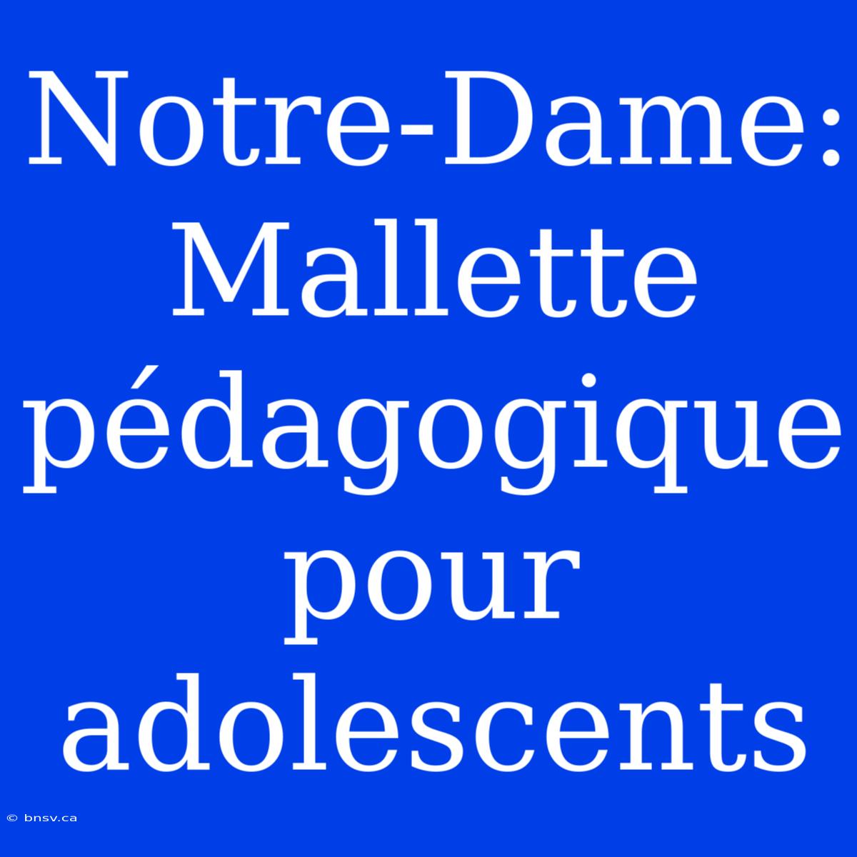 Notre-Dame: Mallette Pédagogique Pour Adolescents