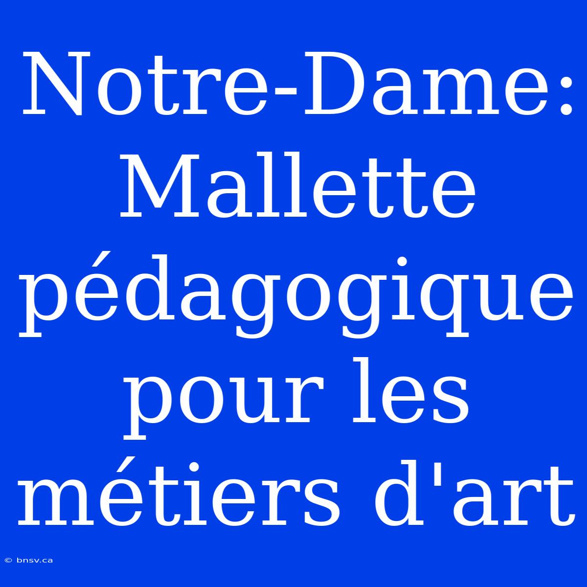 Notre-Dame: Mallette Pédagogique Pour Les Métiers D'art