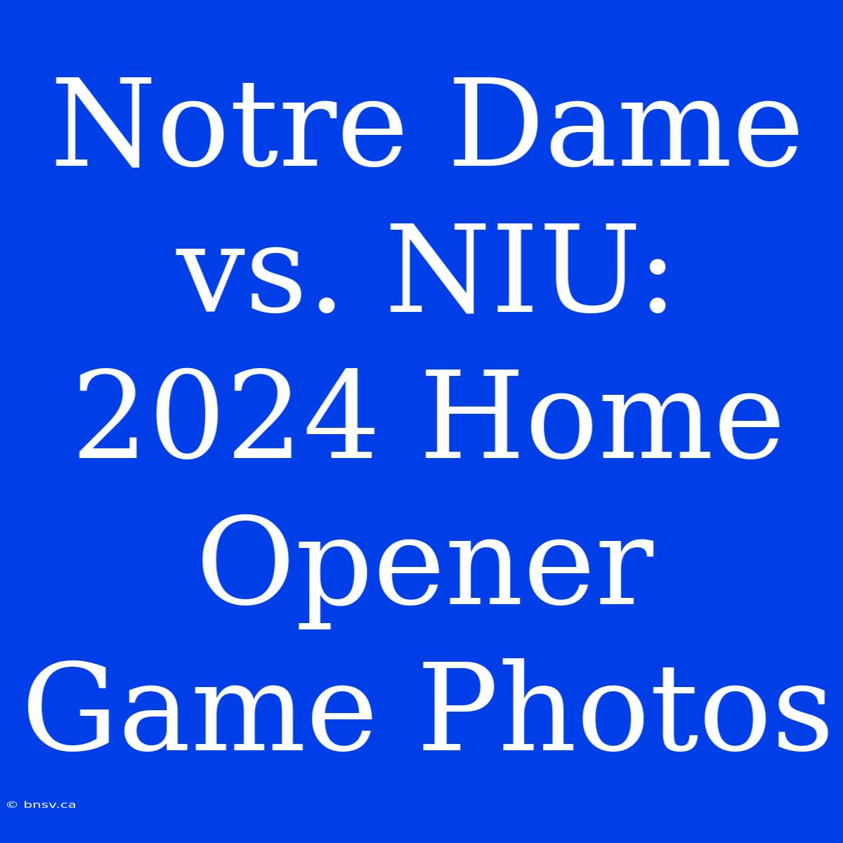 Notre Dame Vs. NIU: 2024 Home Opener Game Photos