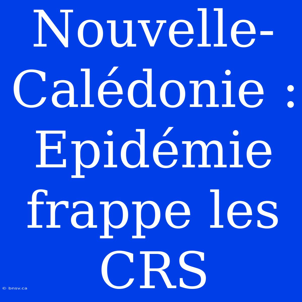 Nouvelle-Calédonie :  Epidémie Frappe Les CRS