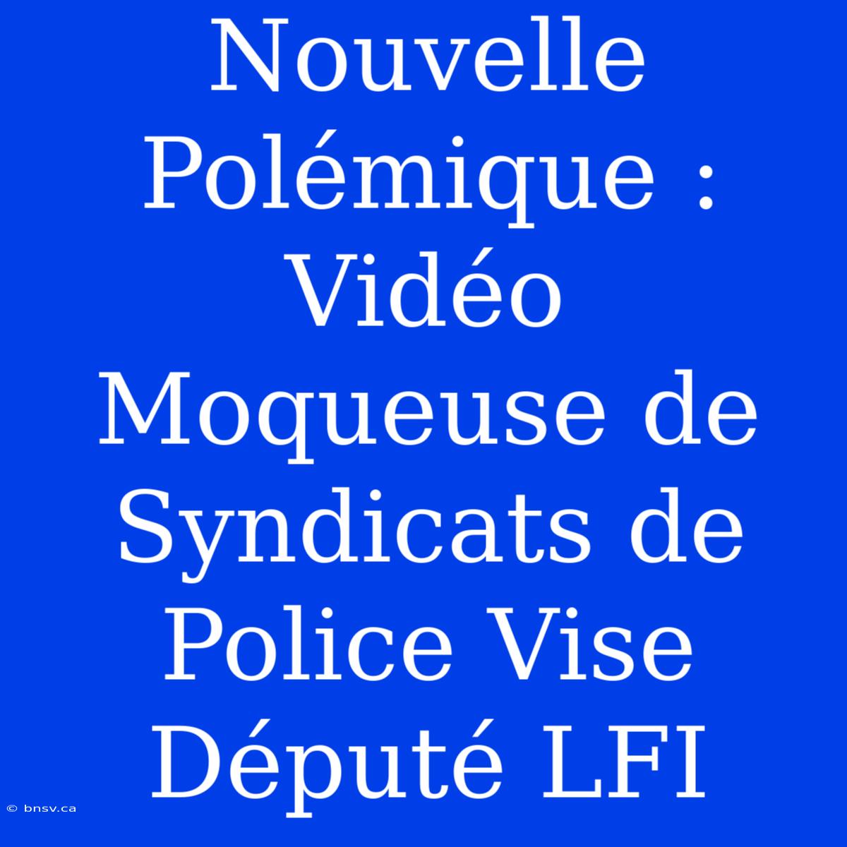 Nouvelle Polémique : Vidéo Moqueuse De Syndicats De Police Vise Député LFI