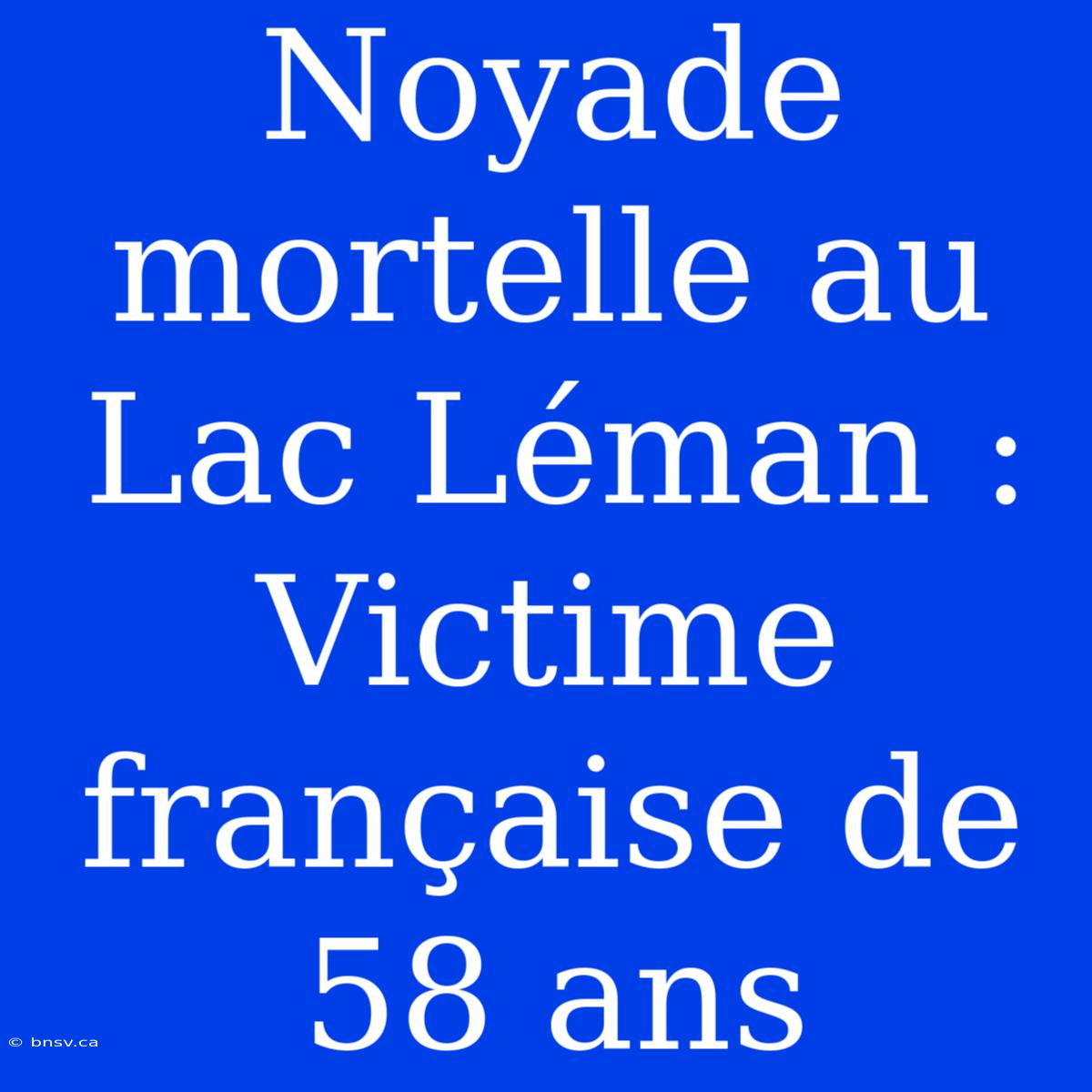 Noyade Mortelle Au Lac Léman : Victime Française De 58 Ans