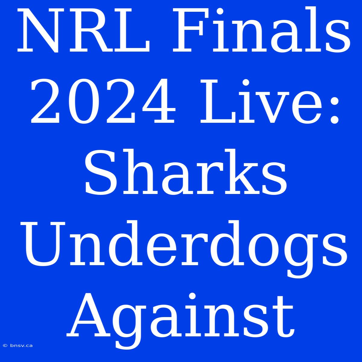 NRL Finals 2024 Live: Sharks Underdogs Against