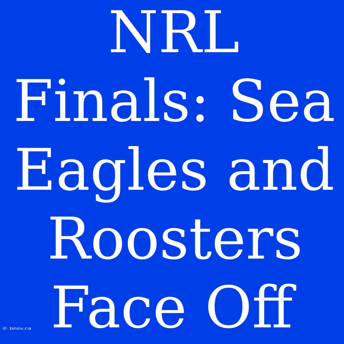 NRL Finals: Sea Eagles And Roosters Face Off