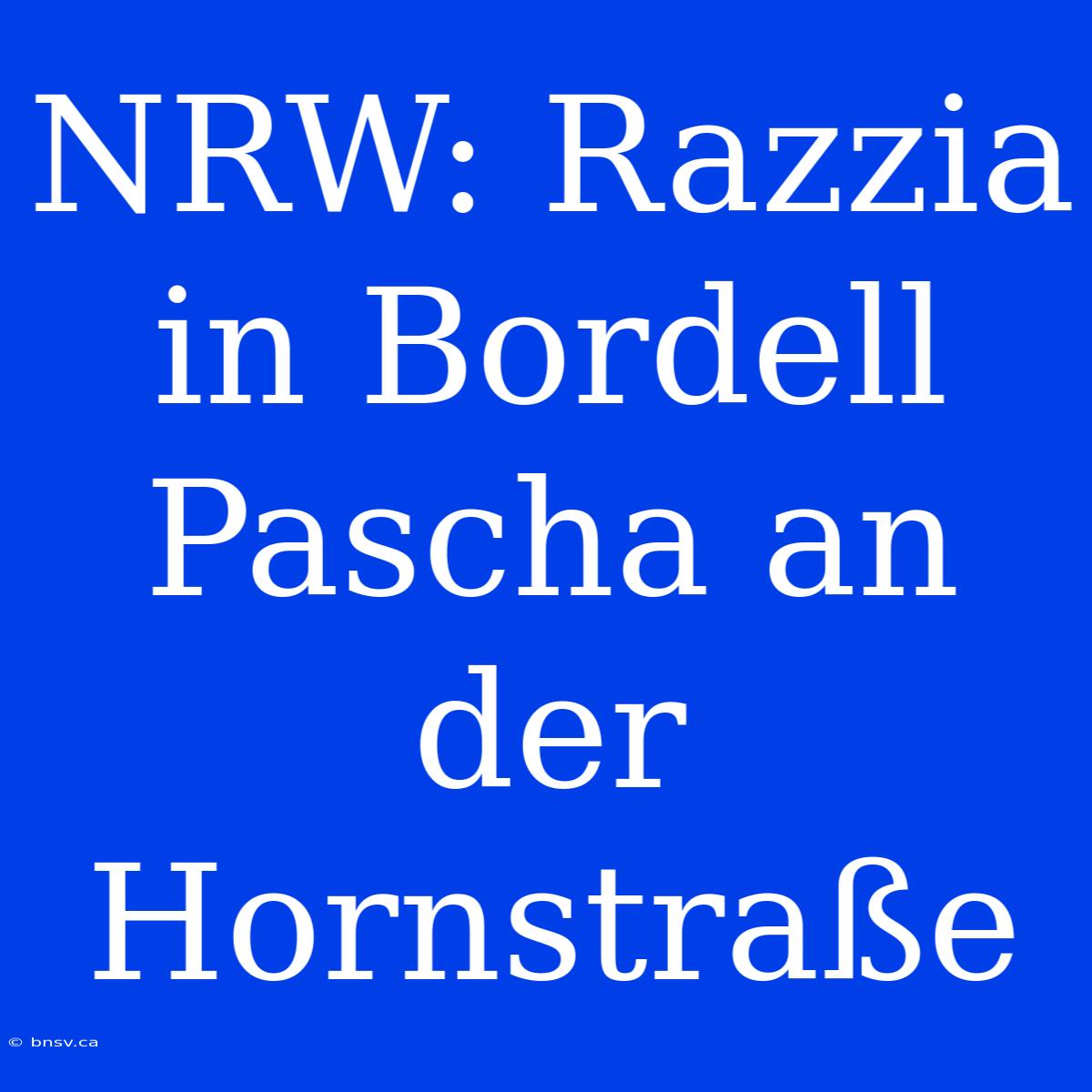 NRW: Razzia In Bordell Pascha An Der Hornstraße