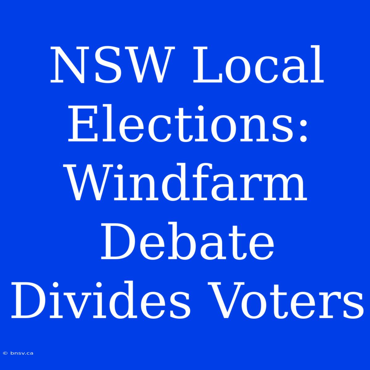 NSW Local Elections: Windfarm Debate Divides Voters