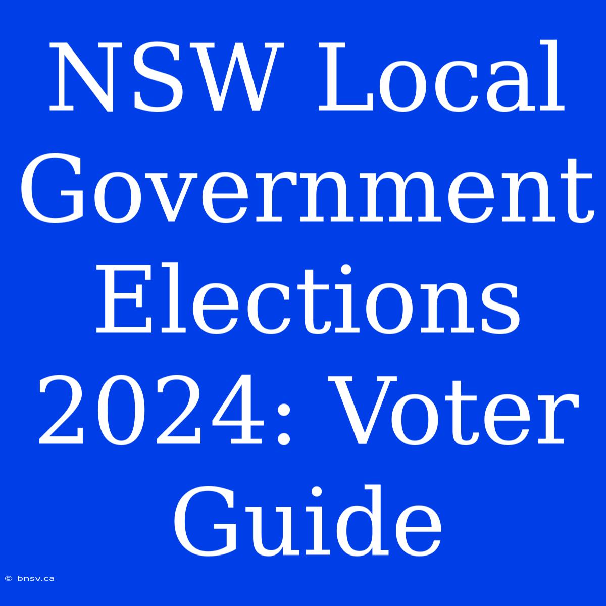 NSW Local Government Elections 2024: Voter Guide