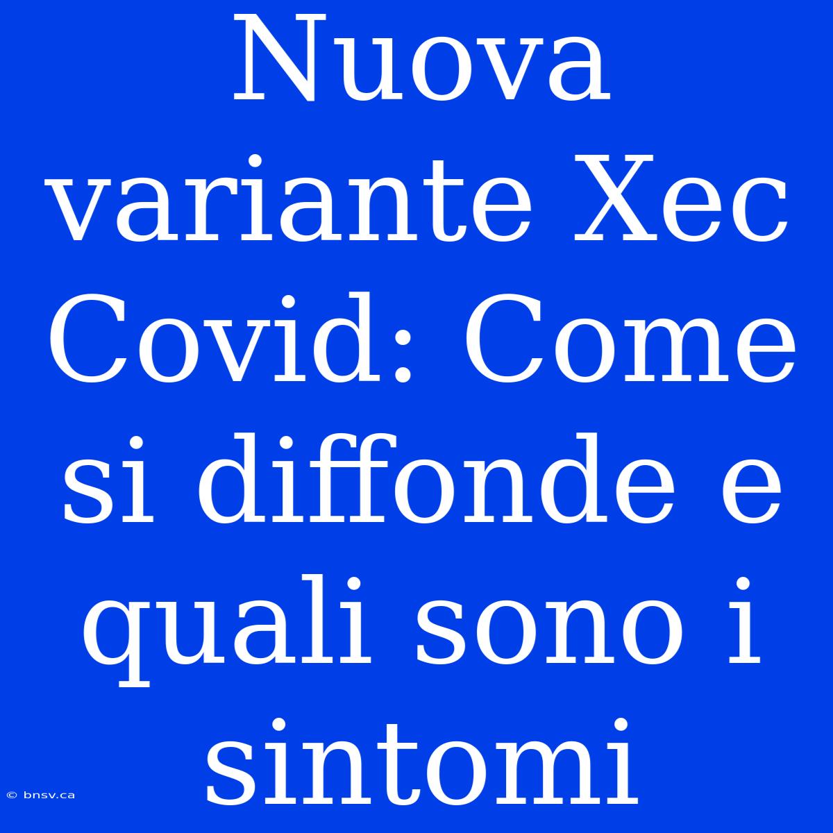 Nuova Variante Xec Covid: Come Si Diffonde E Quali Sono I Sintomi