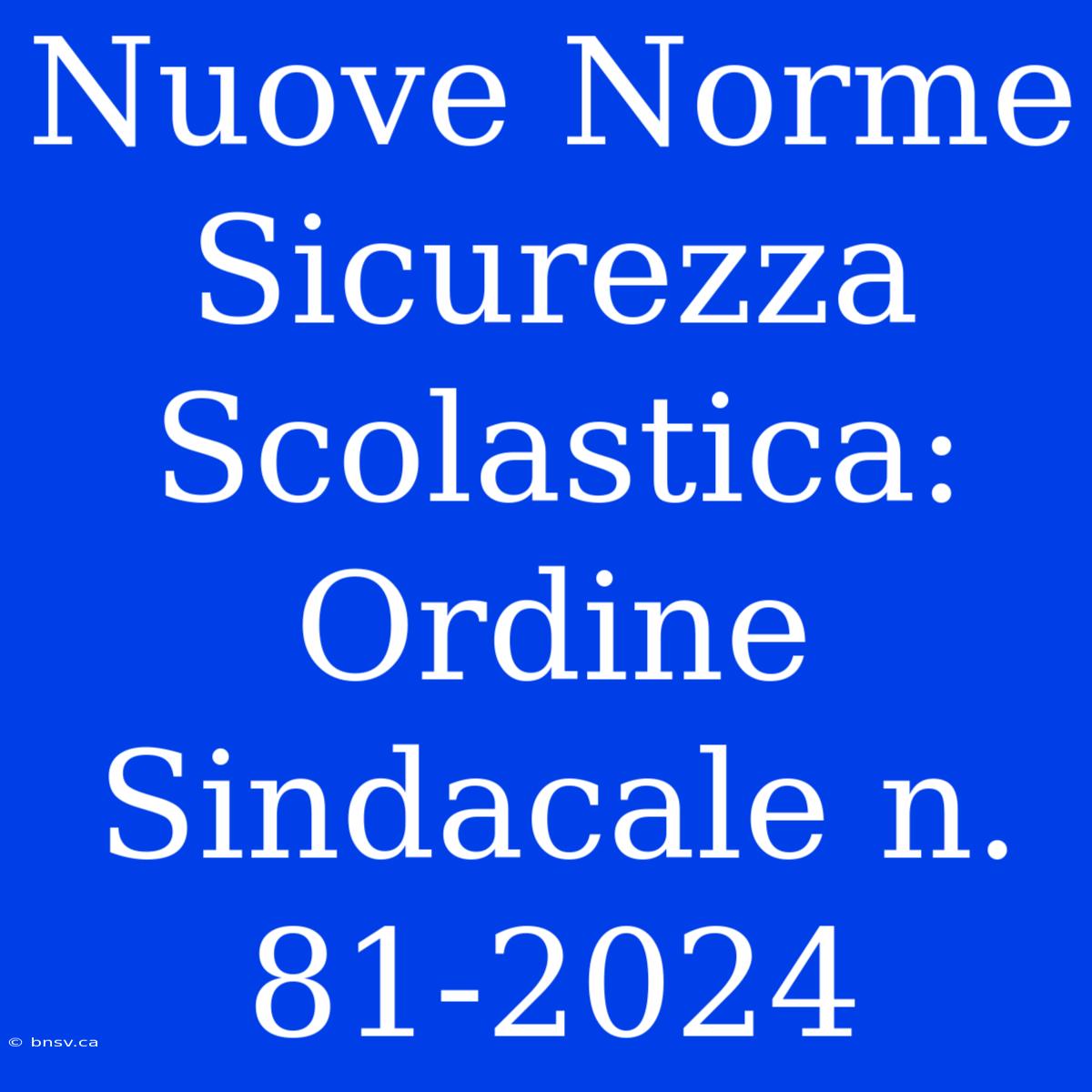 Nuove Norme Sicurezza Scolastica: Ordine Sindacale N. 81-2024