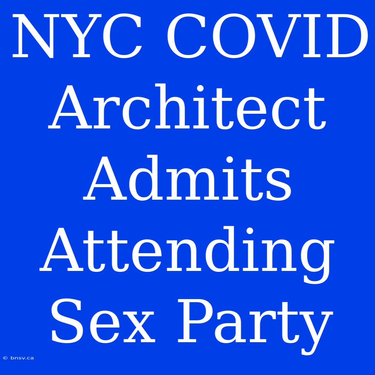 NYC COVID Architect Admits Attending Sex Party