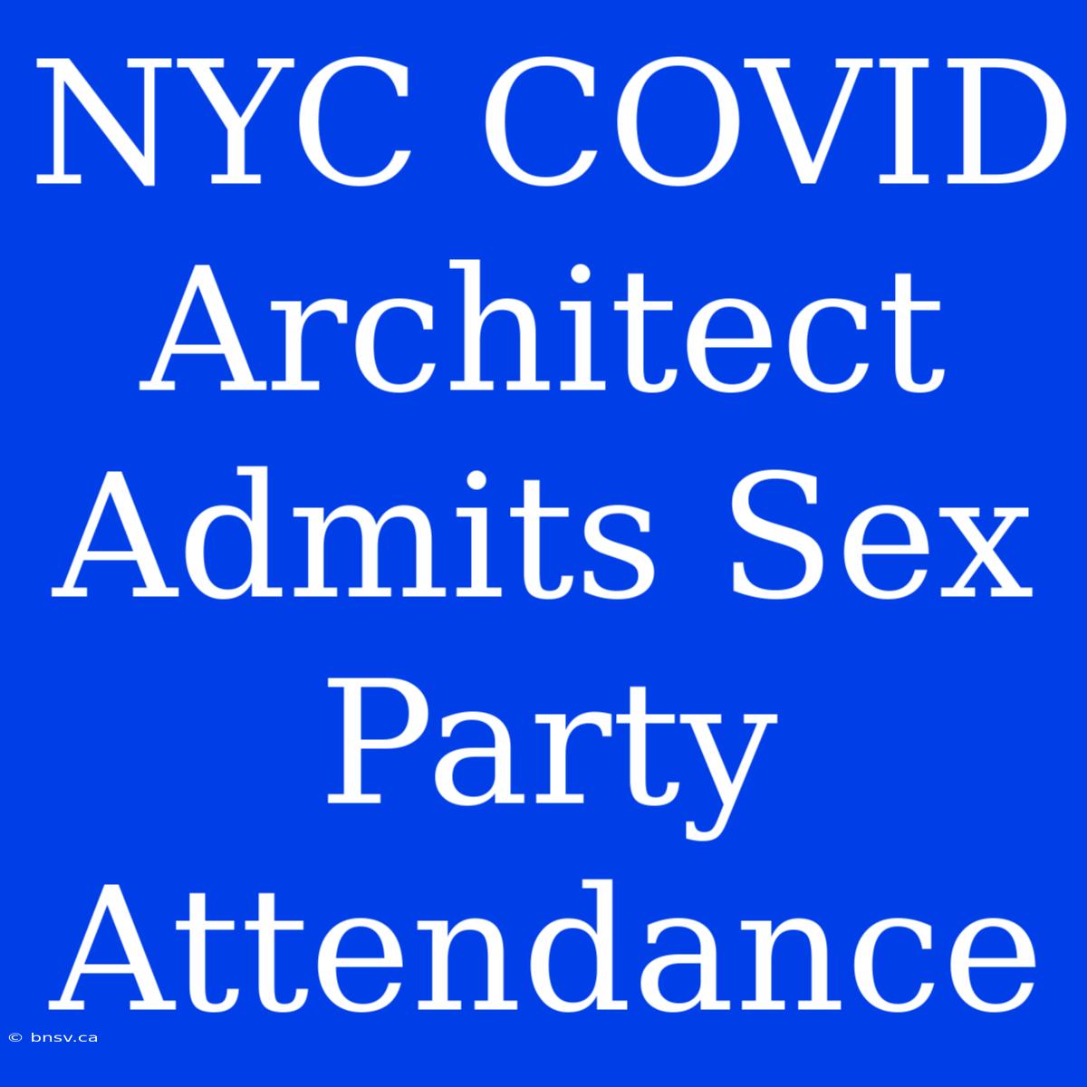 NYC COVID Architect Admits Sex Party Attendance