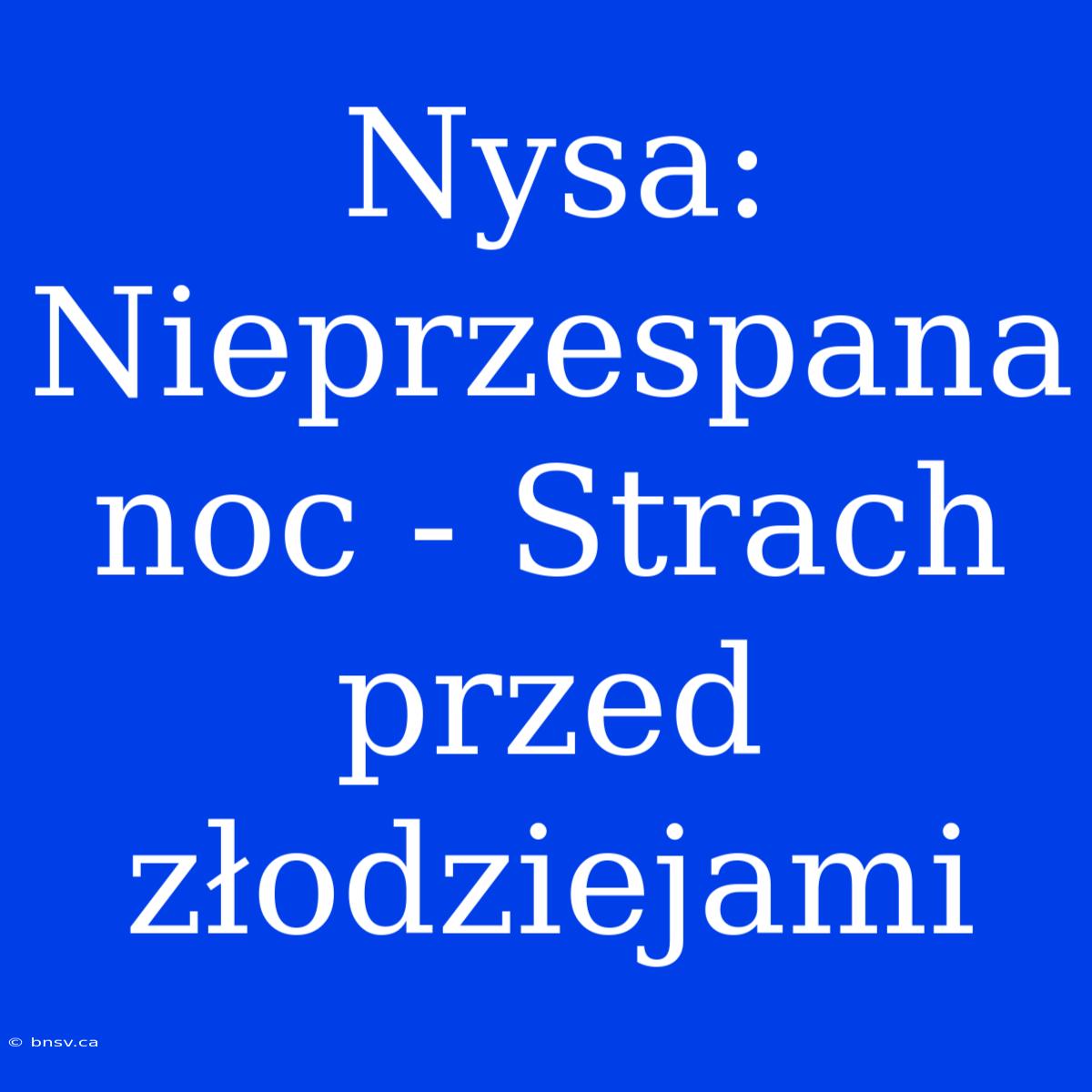 Nysa: Nieprzespana Noc - Strach Przed Złodziejami