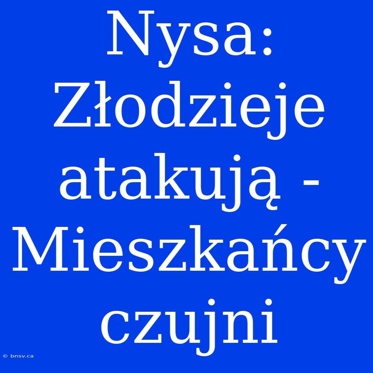 Nysa:  Złodzieje Atakują - Mieszkańcy Czujni