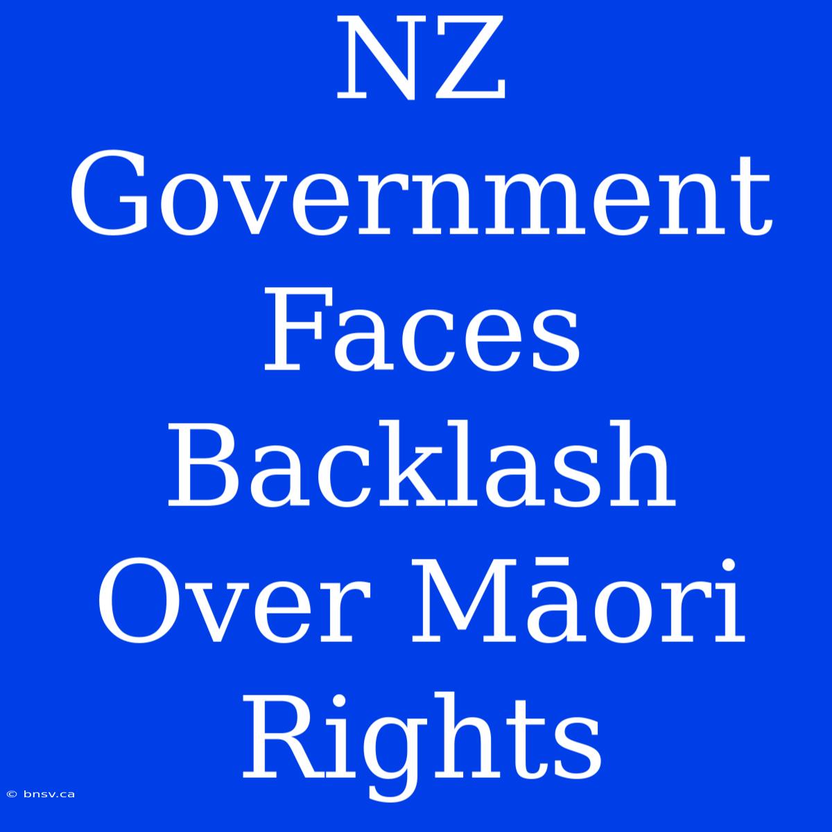 NZ Government Faces Backlash Over Māori Rights