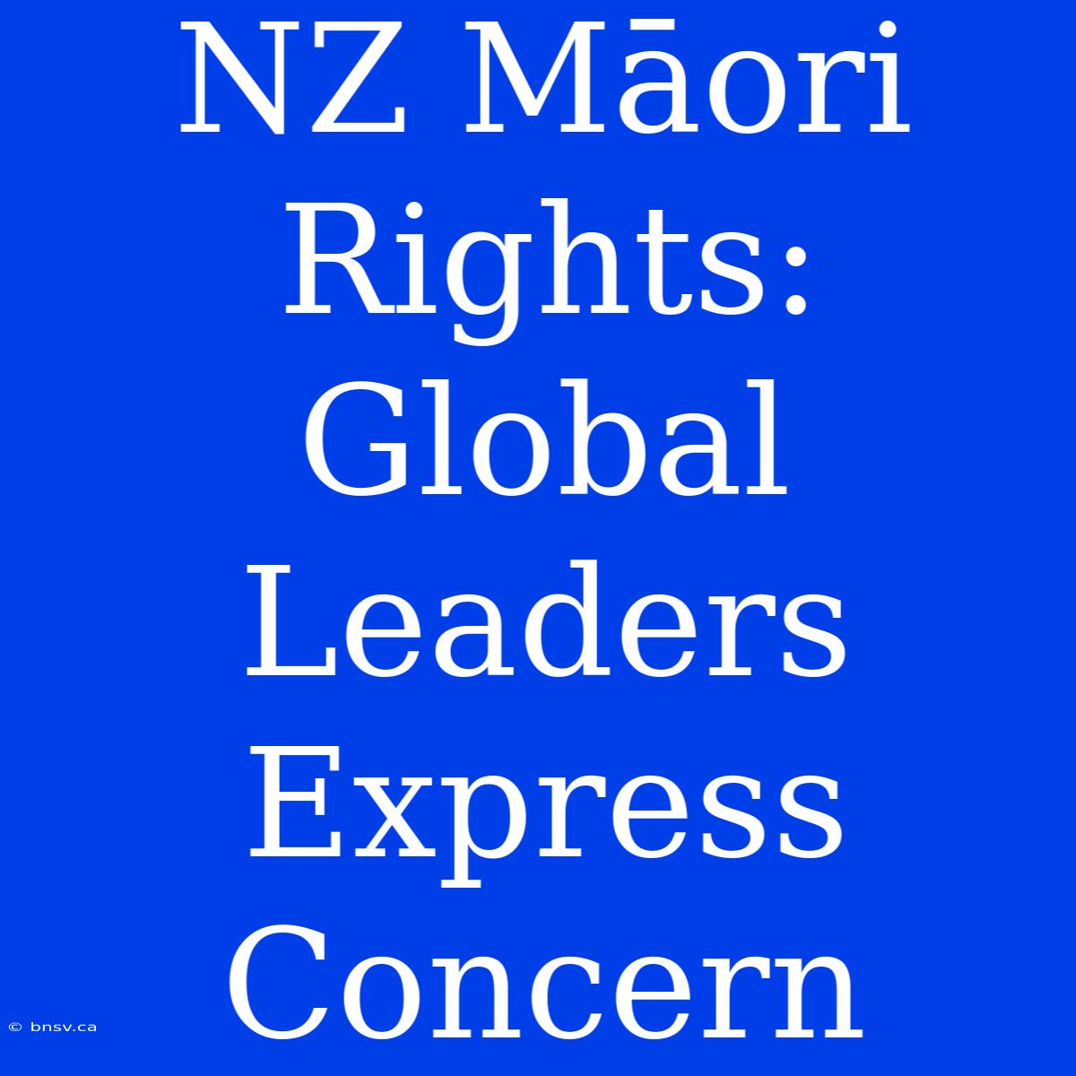 NZ Māori Rights: Global Leaders Express Concern