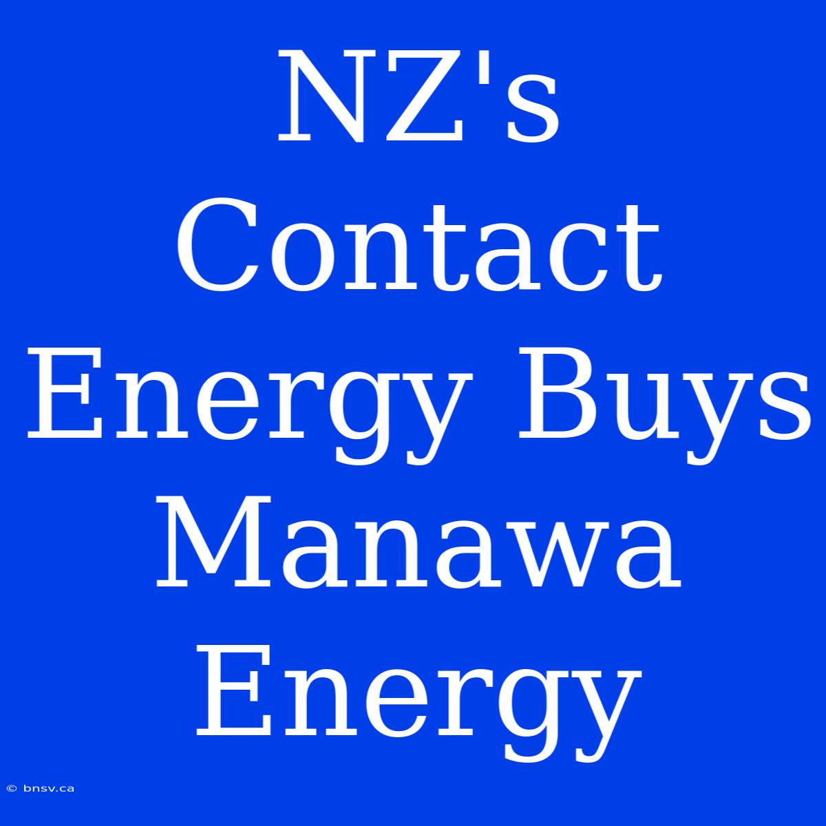 NZ's Contact Energy Buys Manawa Energy