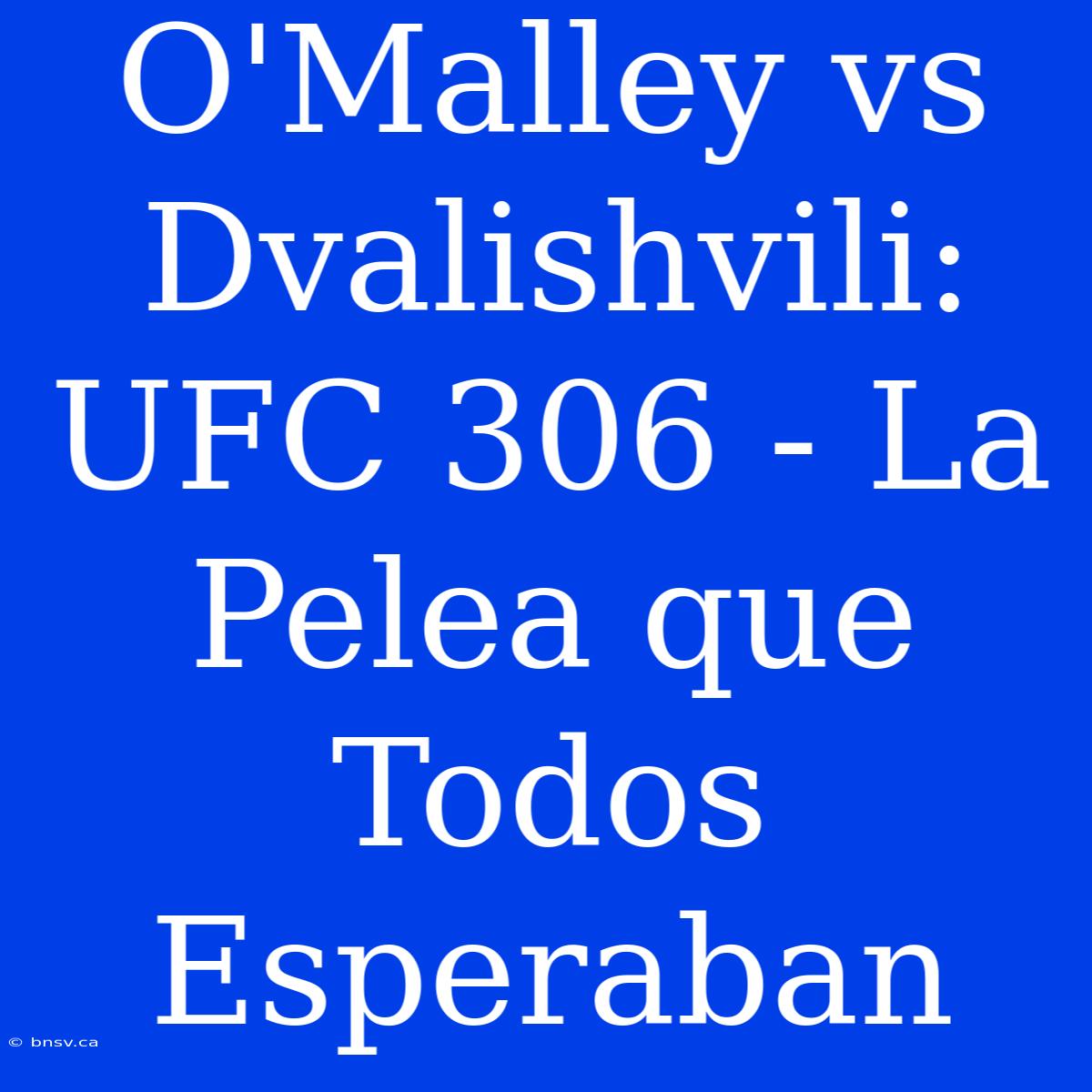 O'Malley Vs Dvalishvili: UFC 306 - La Pelea Que Todos Esperaban