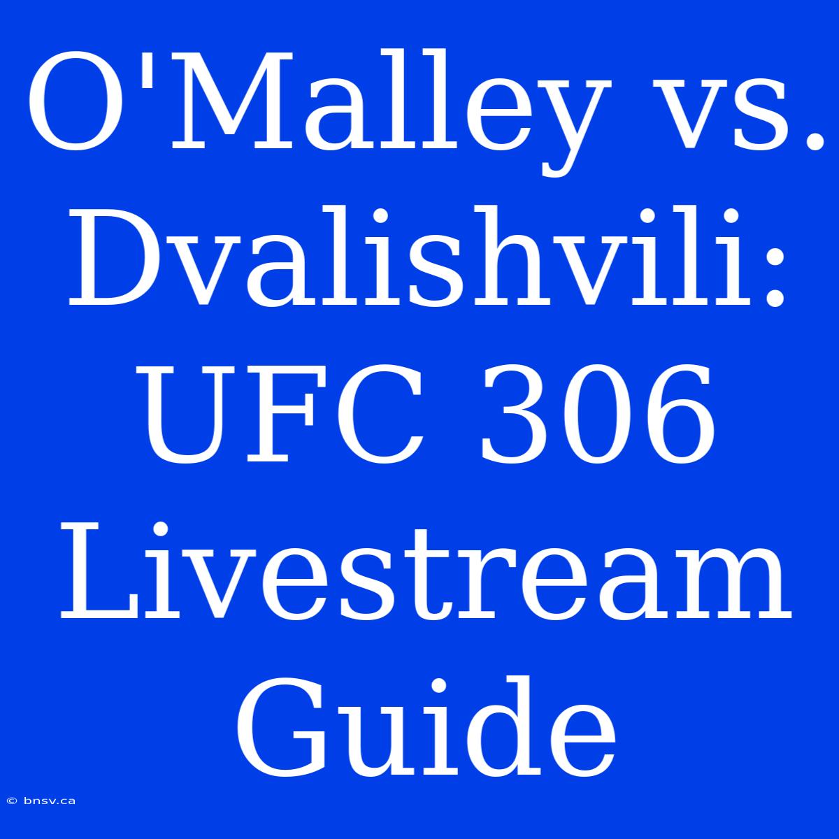 O'Malley Vs. Dvalishvili: UFC 306 Livestream Guide