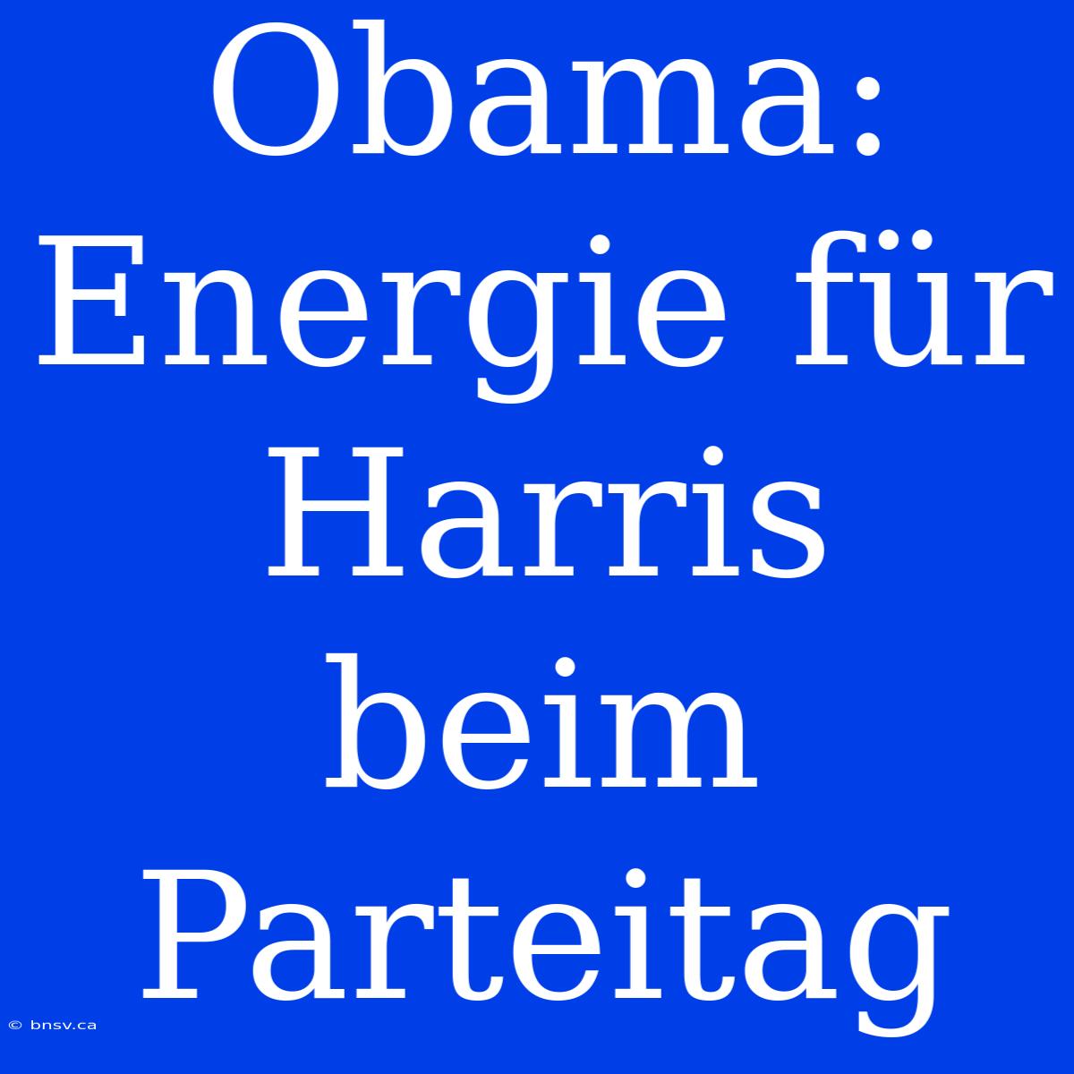 Obama: Energie Für Harris Beim Parteitag