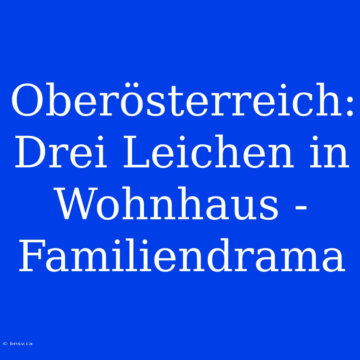 Oberösterreich: Drei Leichen In Wohnhaus - Familiendrama