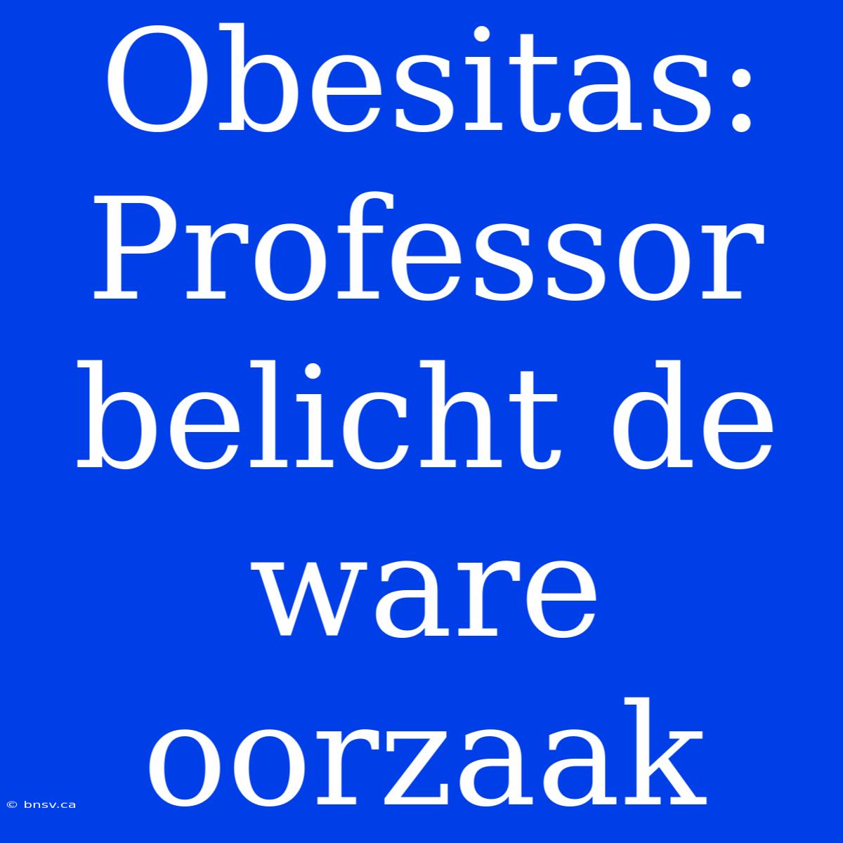 Obesitas: Professor Belicht De Ware Oorzaak