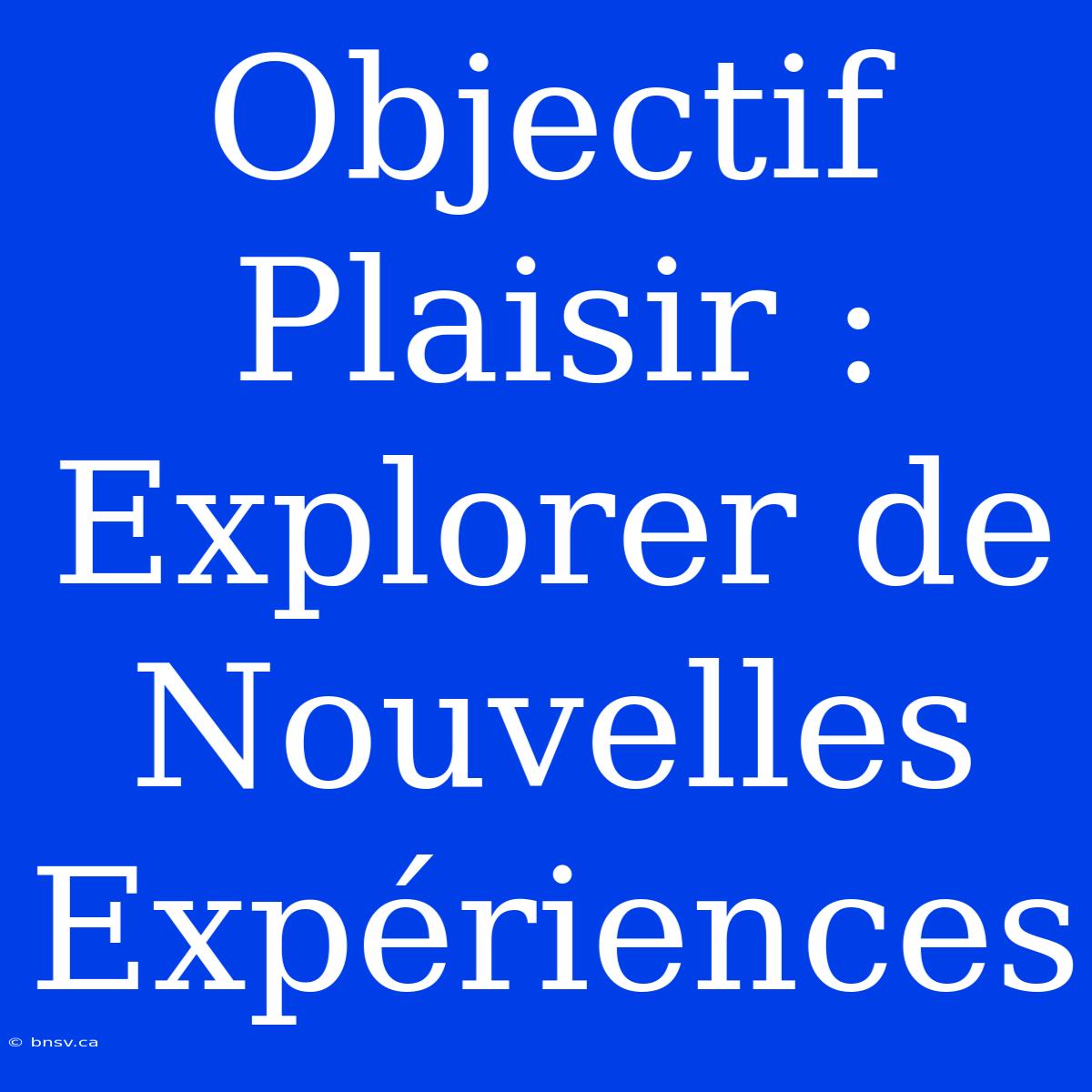 Objectif Plaisir : Explorer De Nouvelles Expériences