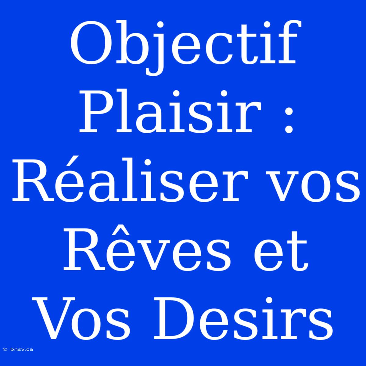 Objectif Plaisir : Réaliser Vos Rêves Et Vos Desirs