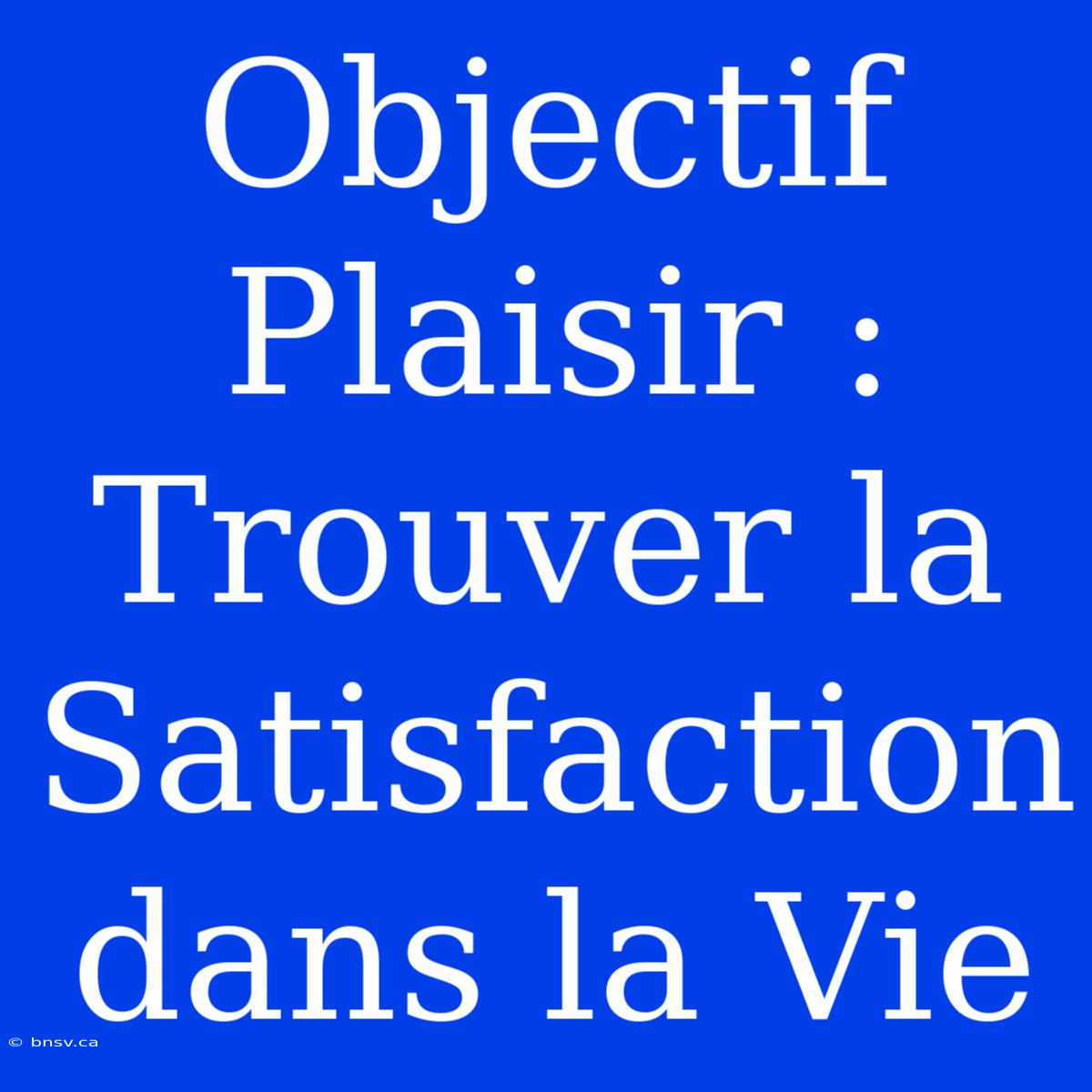 Objectif Plaisir : Trouver La Satisfaction Dans La Vie