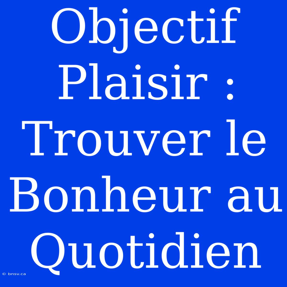 Objectif Plaisir : Trouver Le Bonheur Au Quotidien